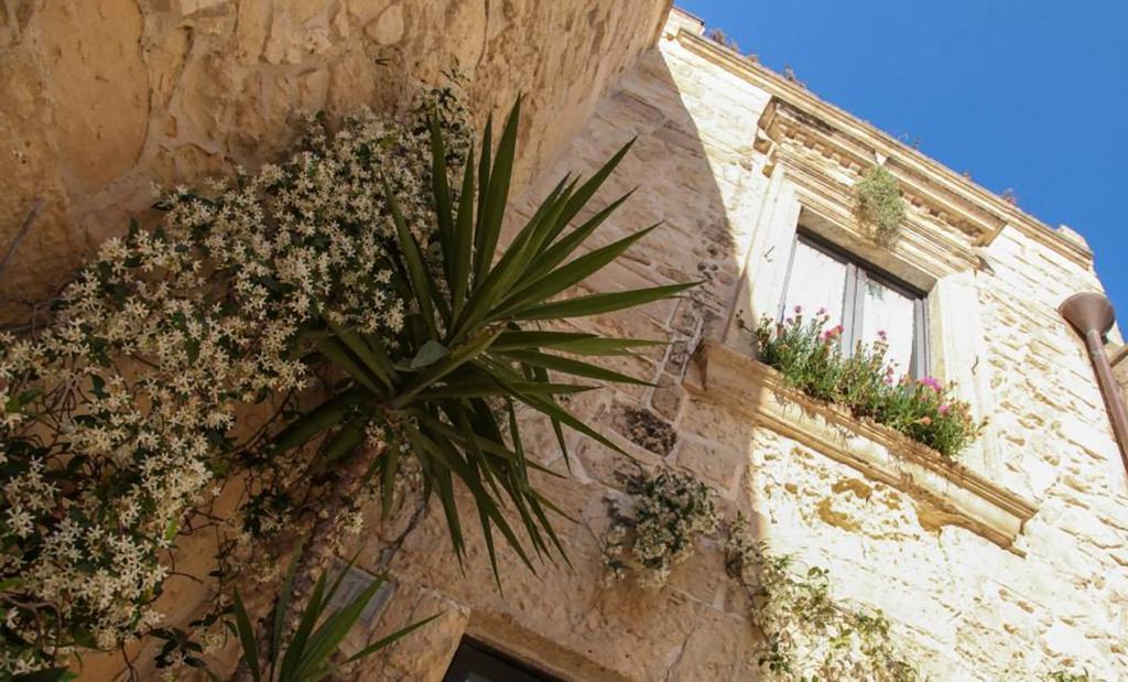 Demetra Bed & Breakfast